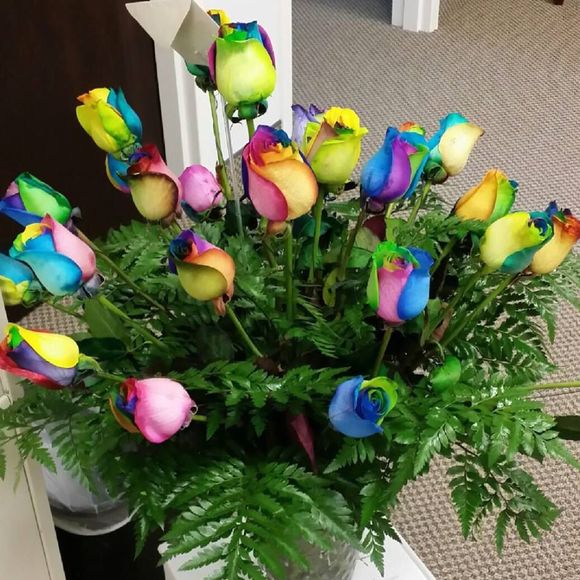 Meet your Posher, Tammy - Picture 1 of 1